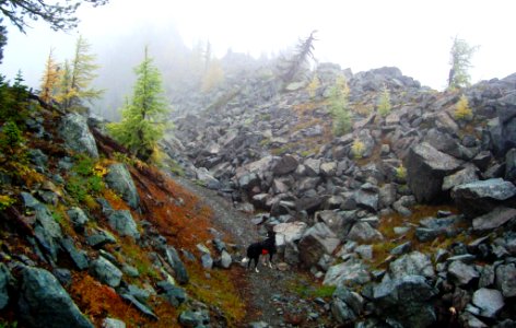 Trail between Wolverine Flats and Blue Bird Basin on a foggy fall day in the Ten Lakes Wilderness Study Area and Ten Lakes Scenic Area