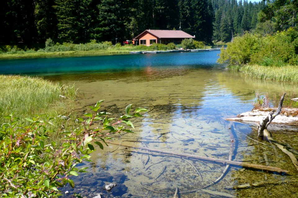 Cabin At Clear Lake Willamette National Forest Free Photos On 6440