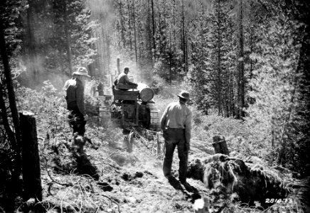 281473 CCC Pulling Stump with Cat, Fremont NF, OR 1933 photo