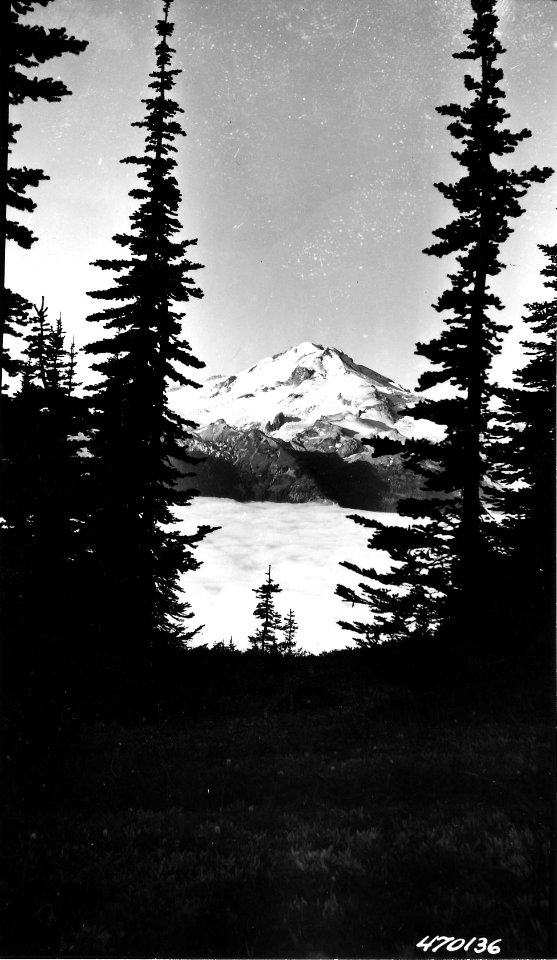 470136 Glacier Peak, Mt. Baker NF, WA 1952