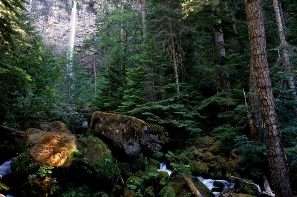 Watson Falls, Umpqua National Forest.jpg