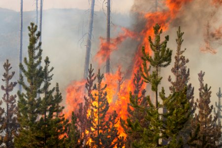 20180815-FS-Okanogan-KG-0438
