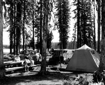 482045 Car Camping at Woodward FC, Umatilla NF, OR 1956