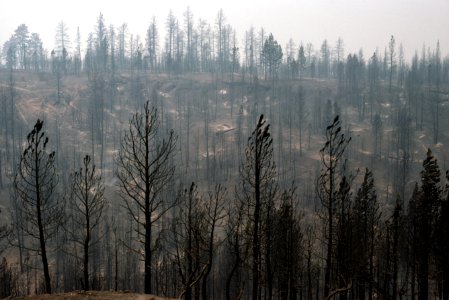 352 Rogue River-Siskiyou National Forest, Longview Fire