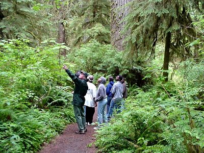 Pete Erben US Forest Service Recreation Manager gives a guided walk through Quinault Rainforest-Olympic photo