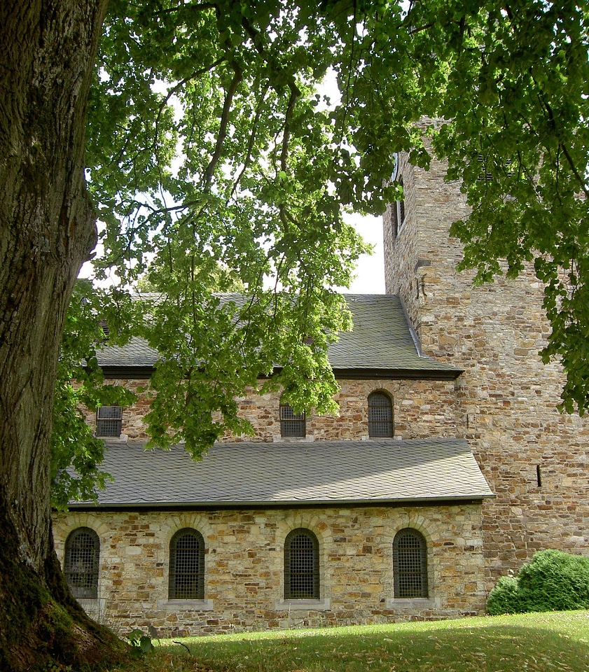 Westerwald germany tree