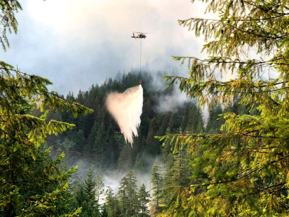 Helicopter dropping water on Maple Fire in August at Olympic National Forest.