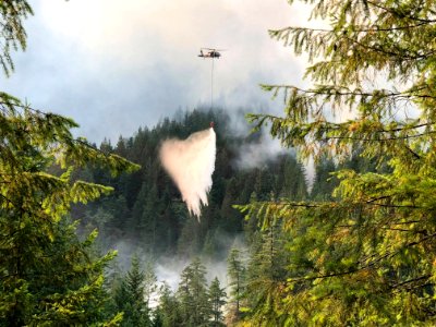 Helicopter dropping water on Maple Fire in August at Olympic National Forest.