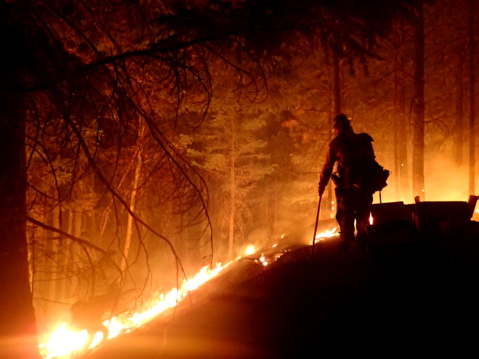 Firefighters observing controlled burn out to remove fuels adjacent to firelines.