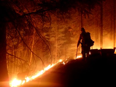 Firefighters observing controlled burn out to remove fuels adjacent to firelines.