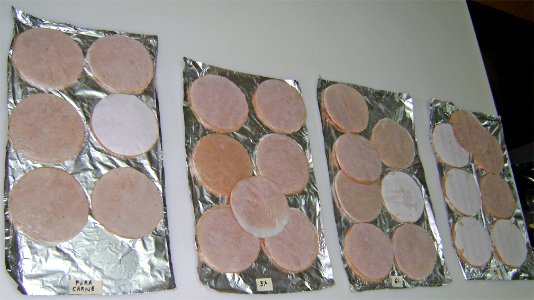 Carnes para hamburguesa 2