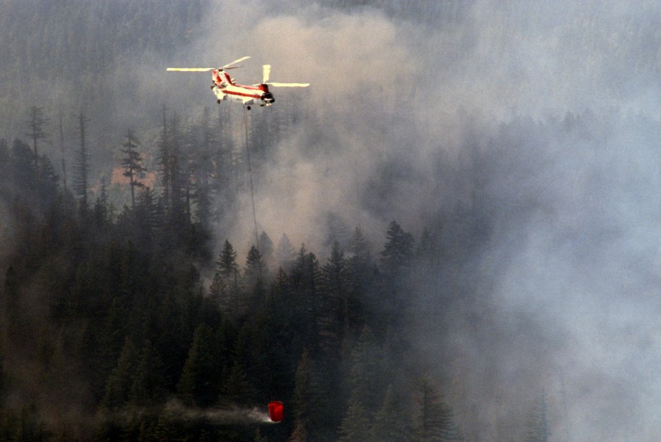 273 Rogue River-Siskiyou National Forest Biscuit Fire