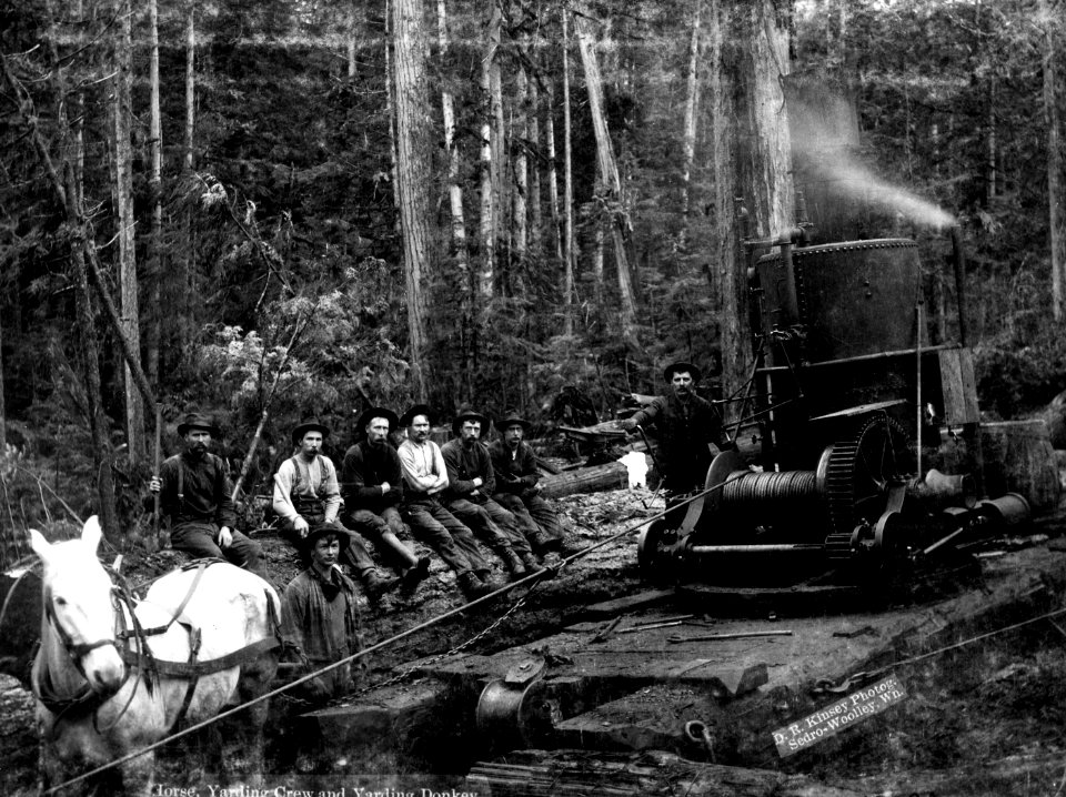 19064 Yarding with Donkey, Kinsey Photo, Skagit County, WA