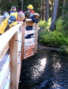 Willamette National Forest, Trapper Creek Outdoor School-114