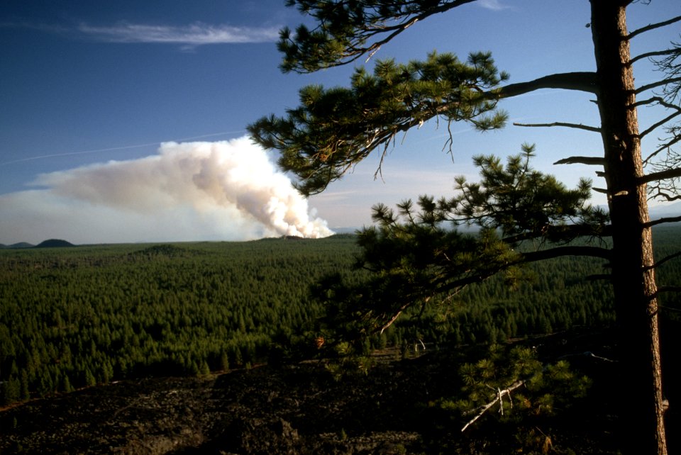 502 Smoke column prescribed fire, Deschutes National Forest
