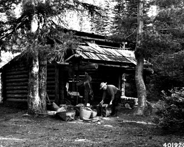 401920 Smith Taylor, Willamette NF, OR 1934 photo