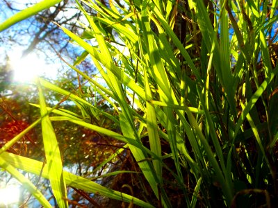 Winter sunshine
