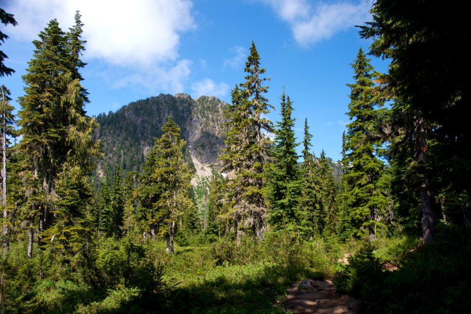 Survey Point above Schriebers Meadow