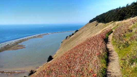 Whidbey Pratt Preserve Bluff Trail looking north