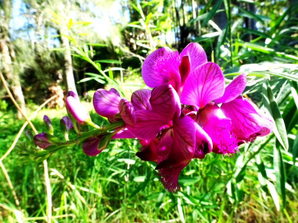 Pretty in pink