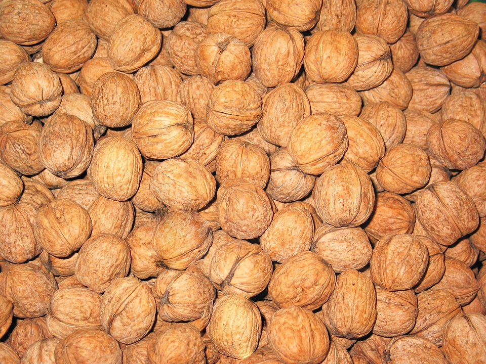 Food nut nutrition photo