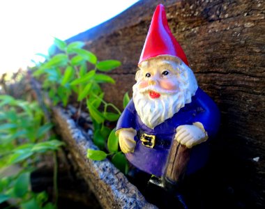 Garden gnome (macro) photo