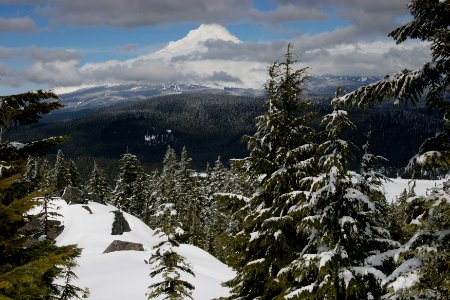 Mt Hood from Clear Lake Lookout, Mt Hood National Forest photo