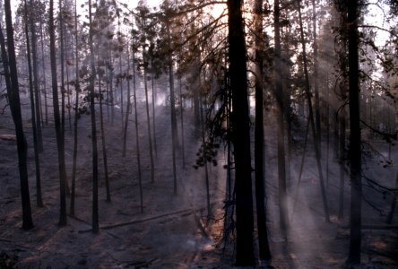 363 McKay Butte Fire, Deschutes National Forest photo