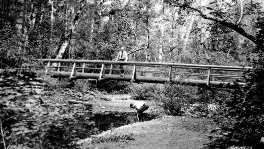 308829 McKenzie Bridge to Tangle Island, Willamette NF, OR