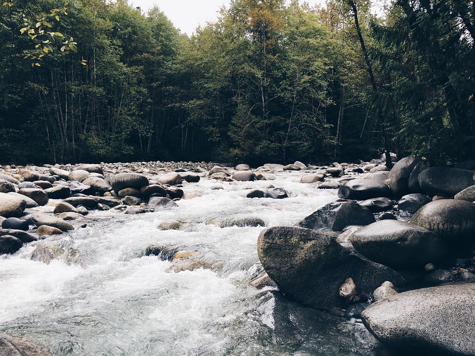 Outdoor nature stream