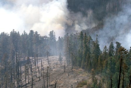139 Rogue River-Siskiyou National Forest Biscuit Fire photo