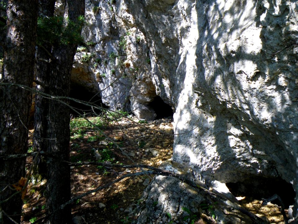 Baume de l ' Or  Pyrites de Fer Mont ventoux nord