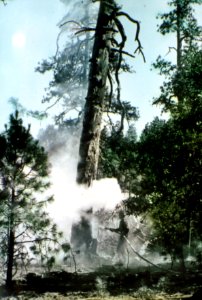 408791 Fire Training, Mt. Hood NF 1941 photo