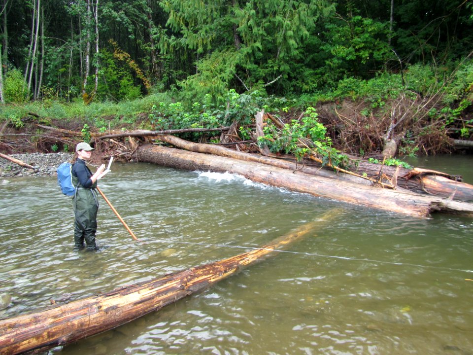 Female Researcher Surveying Stream, Mt Hood National Forest