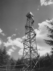 436 Little Hebo LOT, Siuslaw NF, OR 6-16-1949 photo