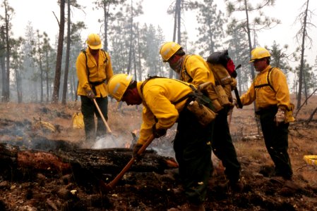 224 Rogue River-Siskiyou National Forest Biscuit Fire
