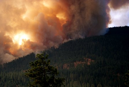 144 Hash Rock Fire Ochoco National Forest