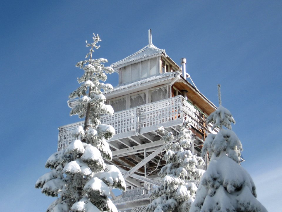 Snowy Trees at Warner Mountain Lookout Tower, Willamette National Forest