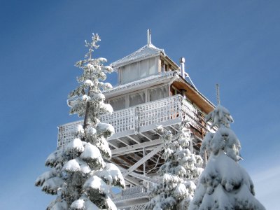 Snowy Trees at Warner Mountain Lookout Tower, Willamette National Forest