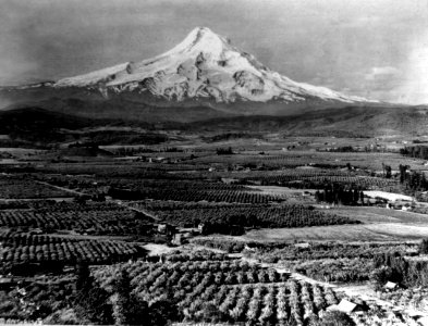 Mt. Hood from North, OR (2)