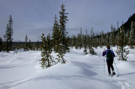 Woman Snowshoeing White River-Mt Hood