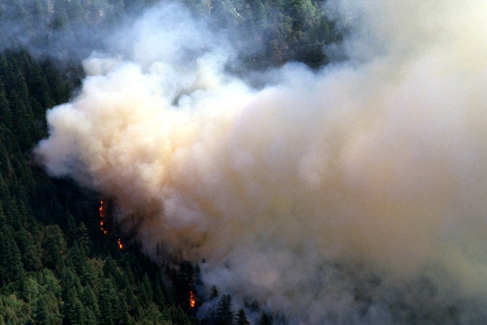 087 Rogue River-Siskiyou National Forest, Biscuit Fire