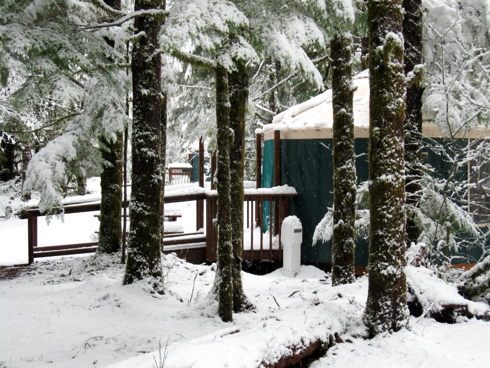 Coho Yurts, Olympic National Forest