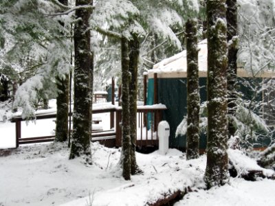 Coho Yurts, Olympic National Forest photo