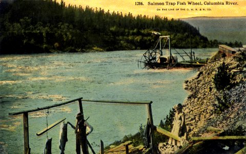 1286 Salmon Trap Fish Wheel, Columbia River photo