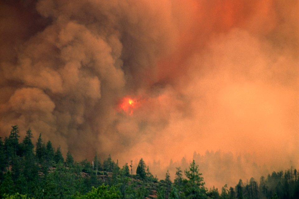 110 Rogue River-Siskiyou National Forest Biscuit Fire