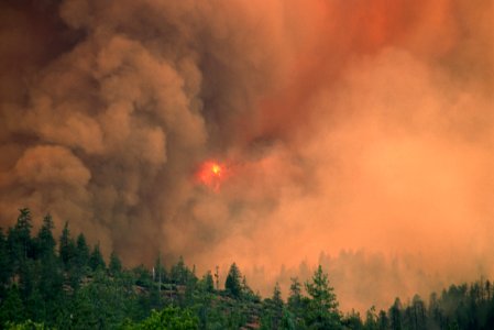110 Rogue River-Siskiyou National Forest Biscuit Fire