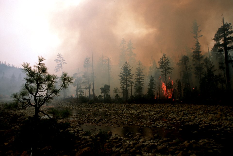 127 Rogue River-Siskiyou National Forest Biscuit Fire