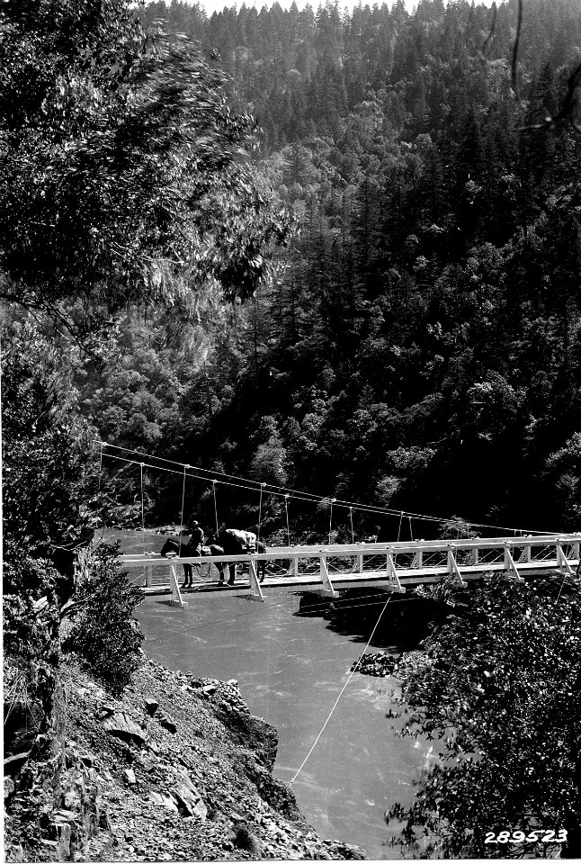 289523 Trail Bridge Across Rogue River, China Gulch, Siskiyou NF, OR photo