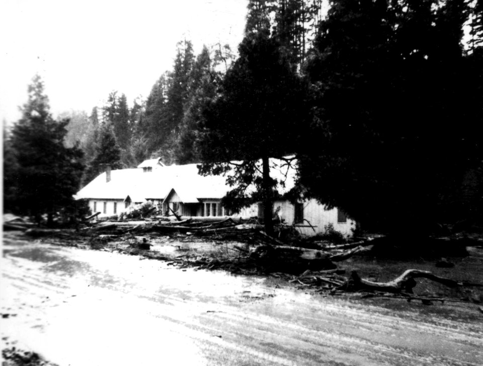 Umpqua NF - 1964 Storm Damage 1-19-1965